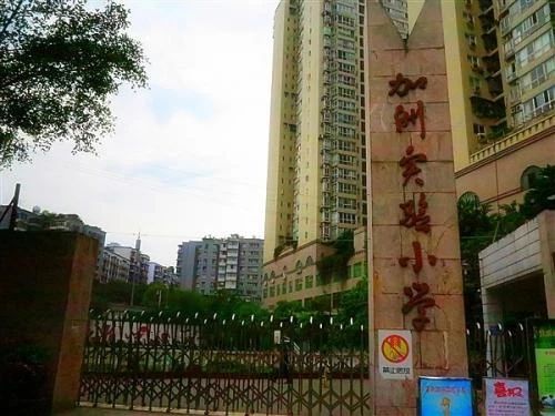 万万没想到！一年学费20万，在重庆上个小学也太贵了吧