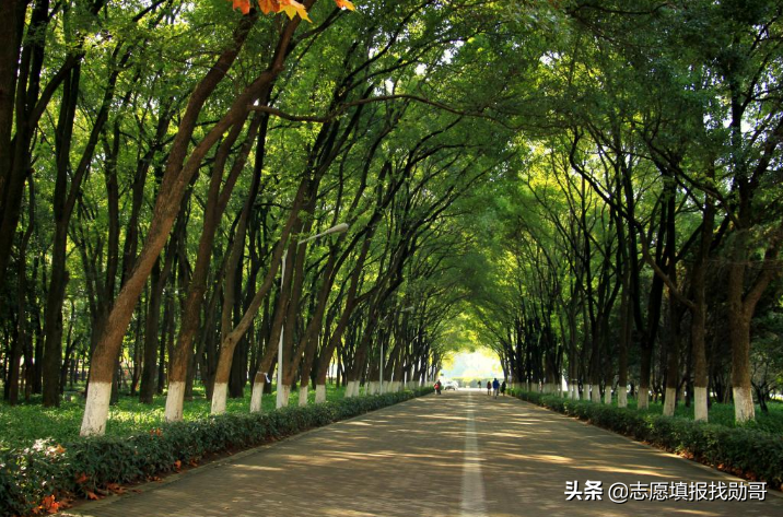 赫赫有名的四大工学院，一所牛气，另一所凉凉！网友：你掉队了