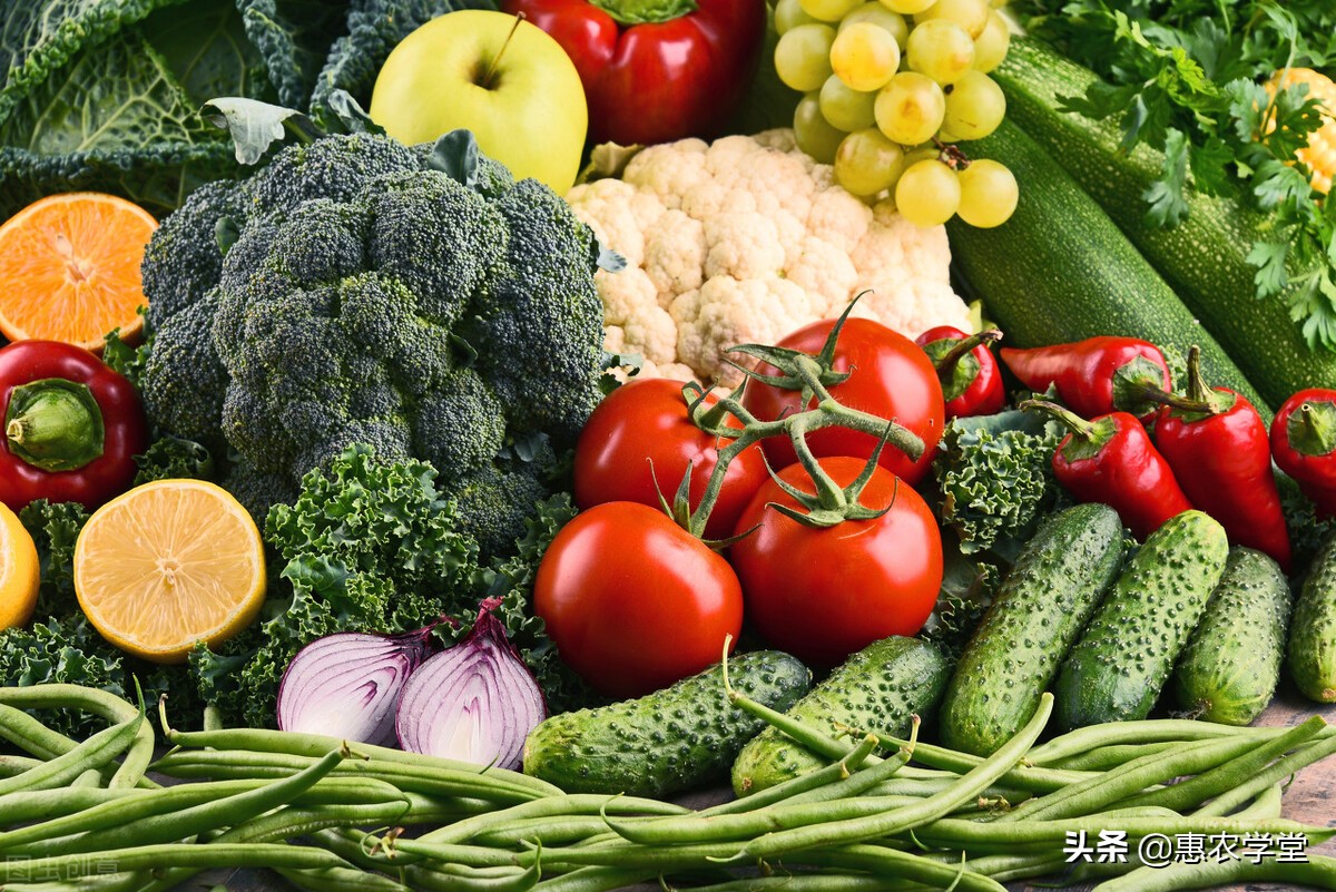 现在黄瓜多少钱一斤？近期蔬菜为何涨价？10月蔬菜行情走势预测