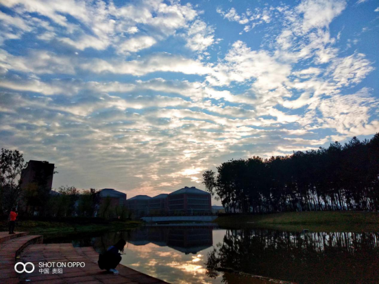 贵州大学图书馆官网（印象大学）