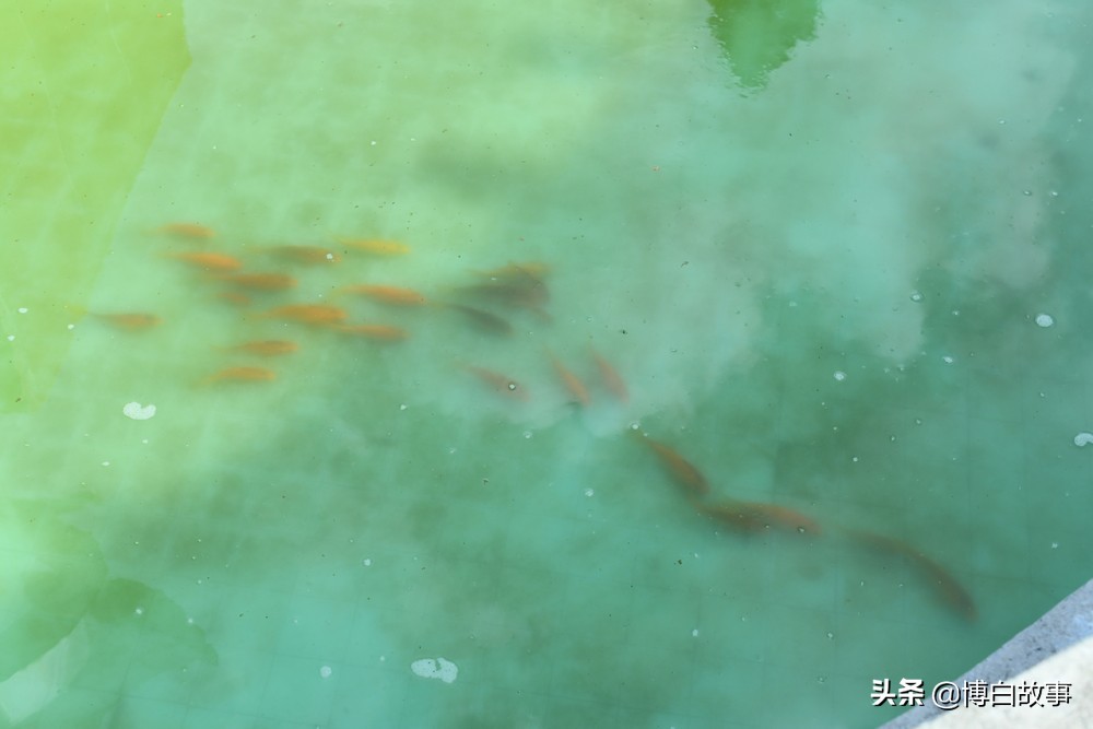 广西博白县中学做了大量工作，确保考生以最佳状态参加高考