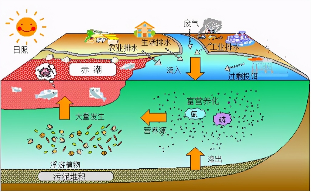 比眼镜蛇毒强80倍？吃了几十年的海鲜出现剧毒，是生物变异了吗？