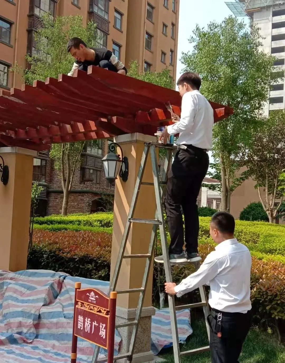 物业服务暖人心,业主点赞送锦旗 物业服务暖人心,业主点赞送锦旗