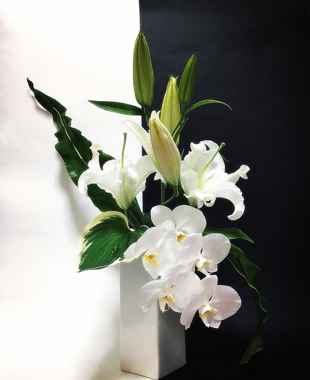 宛若天边仙子,碰撞在一起,两个都是具有高级质感的花材,百合搭配