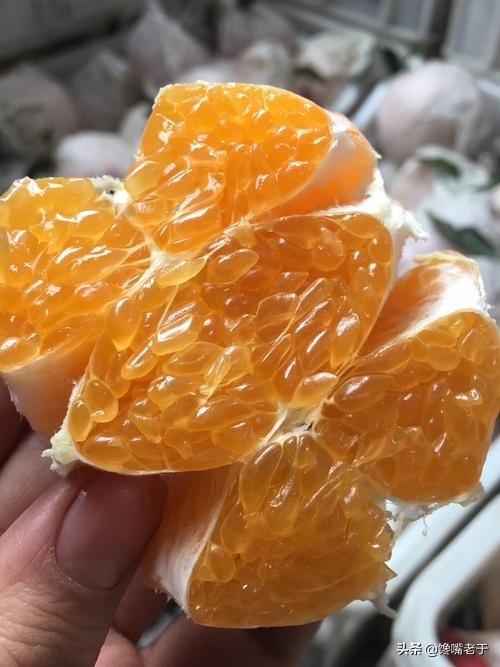 惊蛰前后，遇到这5种水果别手软，滋润防“春燥”好吃营养还不贵