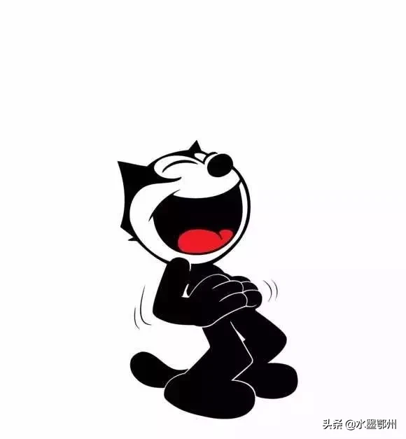 刷完100部“猫片”,发现你们对喵星人的偏见竟如此之大