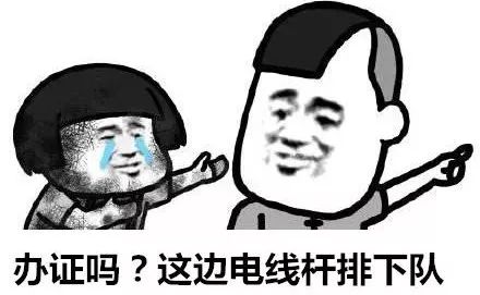 出境领队证,出境领队证怎么考