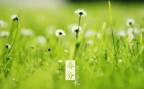 春分∣春去春来春已半，韶华倾负倒春寒