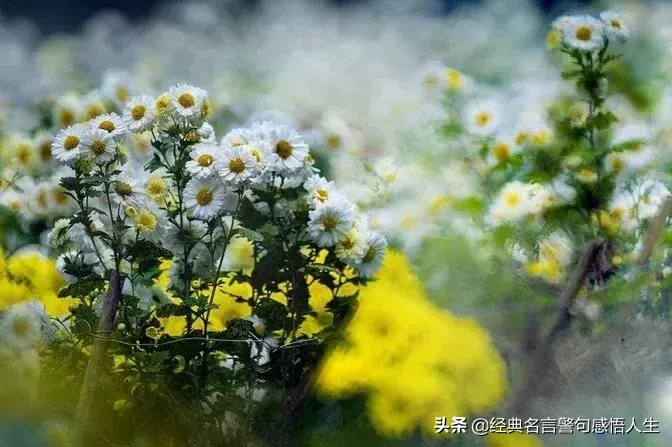 人难做,钱难挣,人皮难背!