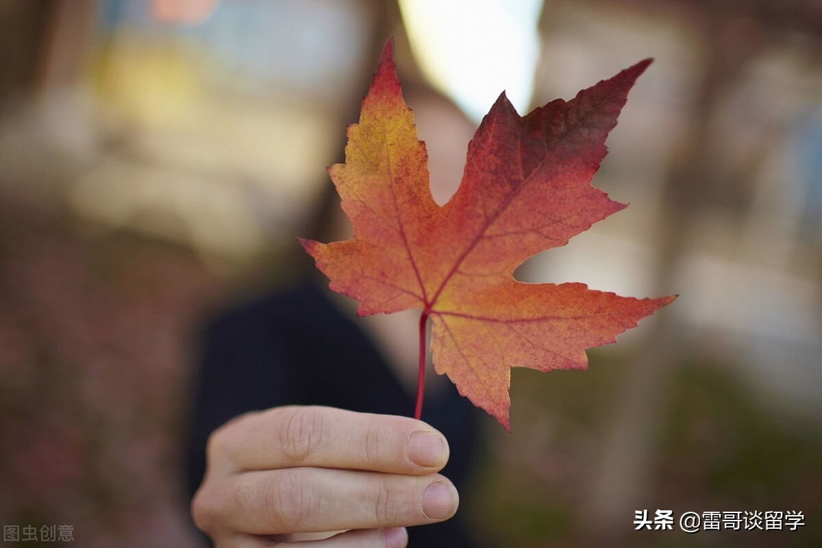 那些被校名“拖累”的美国、加拿大好大学，真不是选了三本留学