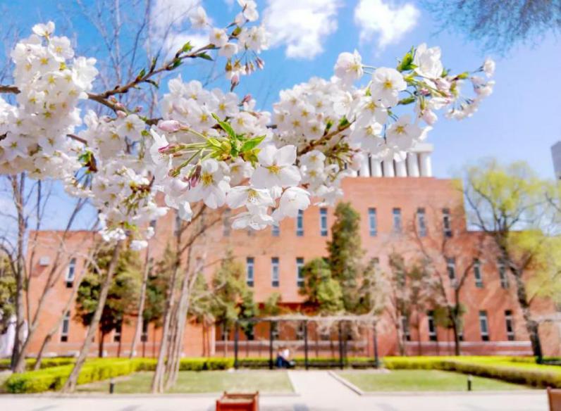 火了！北京这所大学频频登上中央电视台，研究成果在全世界发行！