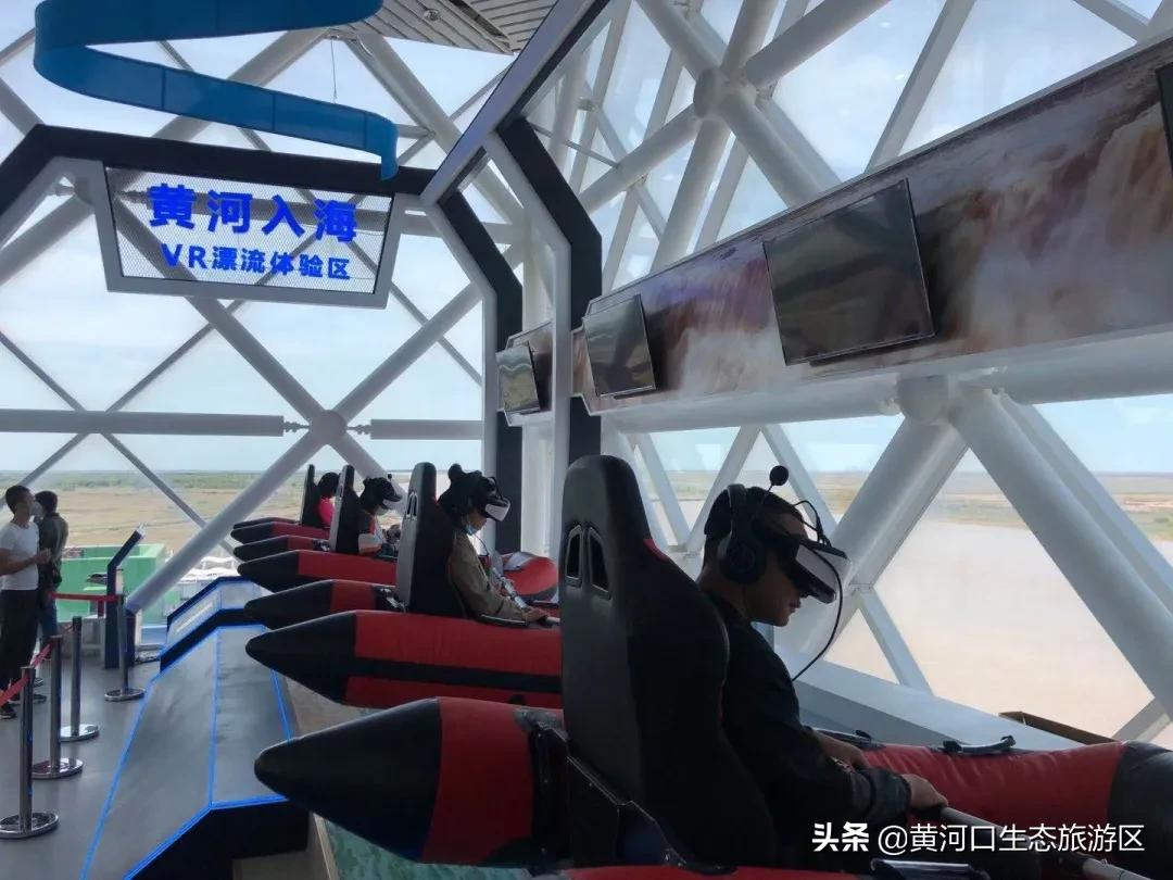 【黄河口生态旅游区】冬日暖阳 静享时光