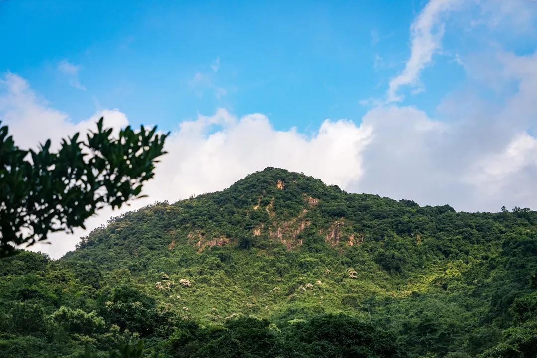 深圳值得征服的10座山，你去过几座？