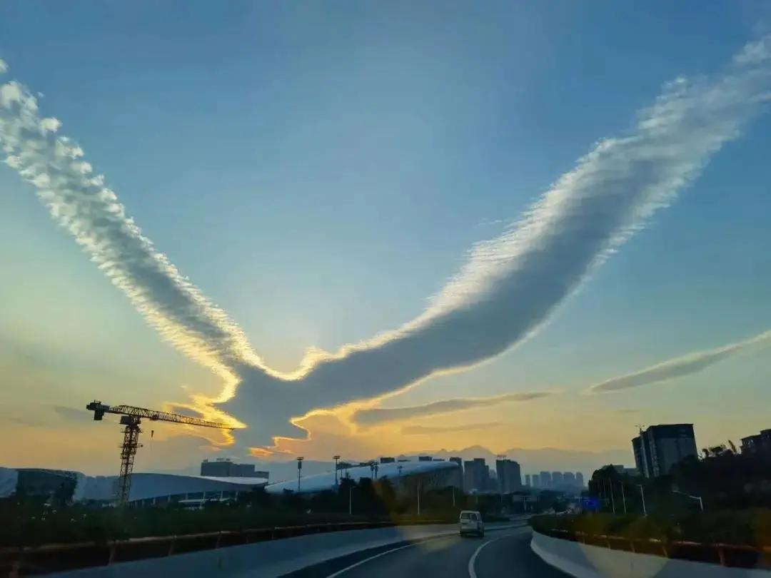 福州天空现"大鹏展翅",云彩一会像老鹰一会像天鹅