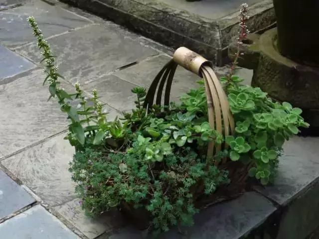 最美的尼姑庵，不烧香只种花，看一眼就想出家