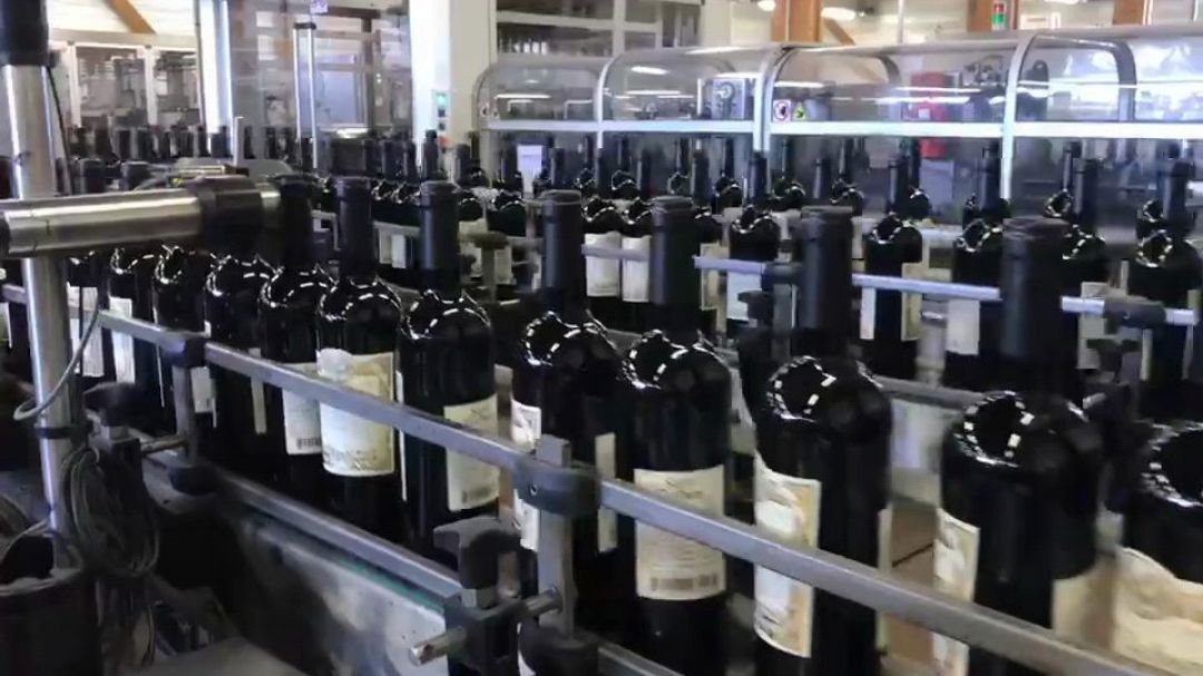 "红葡萄酒"是怎样酿造出来的?从采摘到灌装,一次性全都讲明白