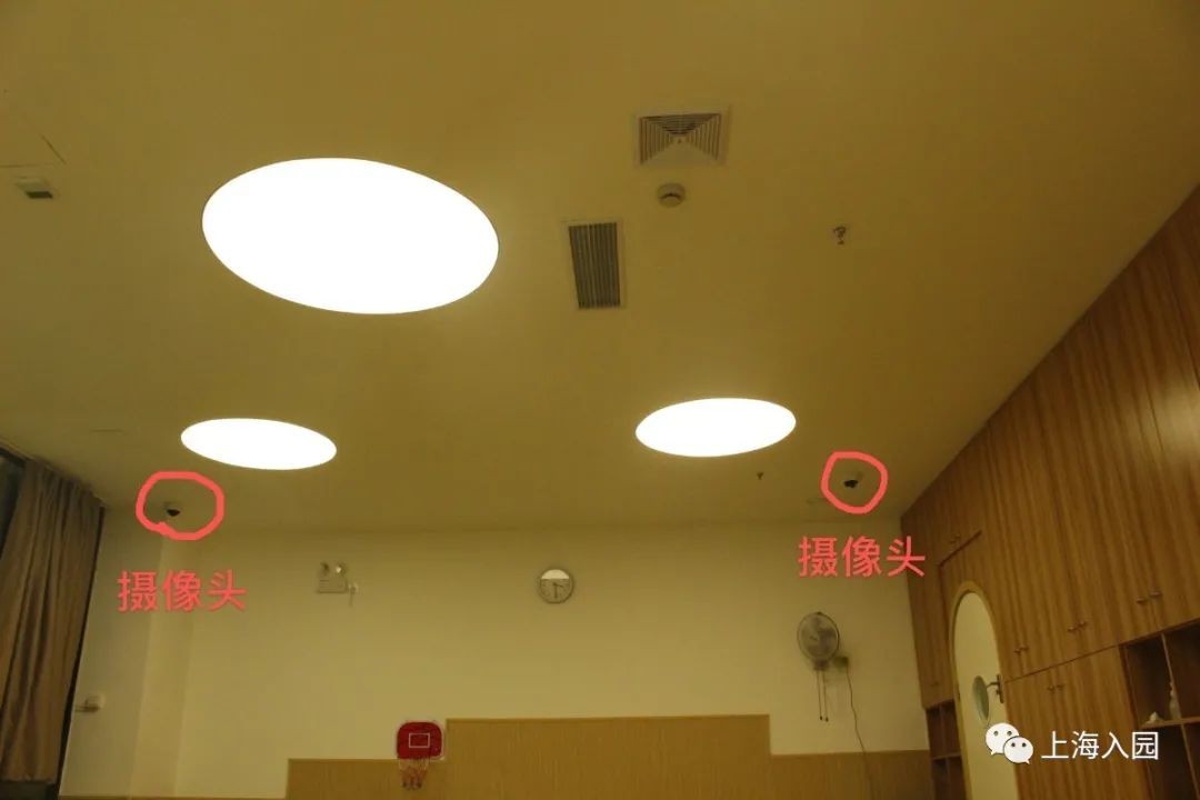 上海这所“迷你”蒙氏托育园，老师都是海归硕士！还特色艺术课程