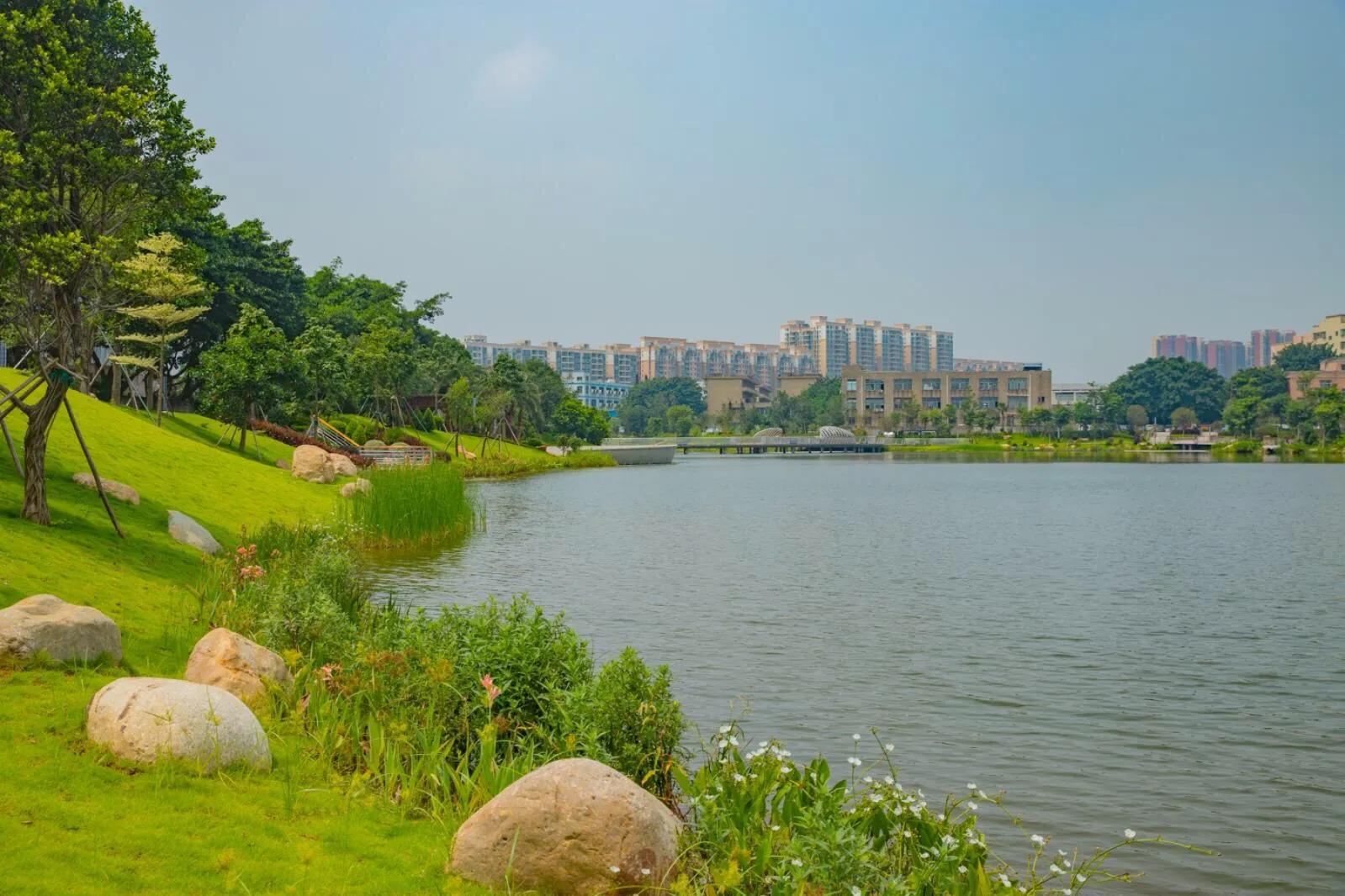 深圳十大免费特色的湖泊公园