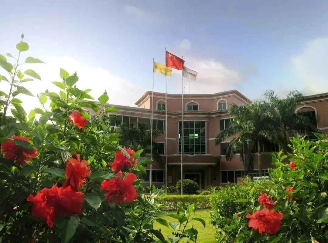 小编找了些涉外的硬货，希望能帮到3+证书补录的你｜广州涉外学院