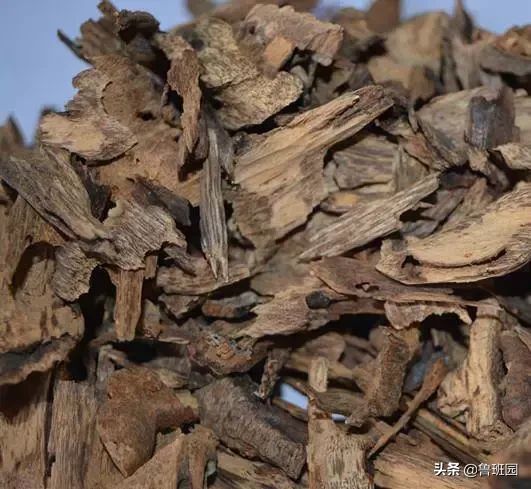 变废为宝!是木头总会发光的!