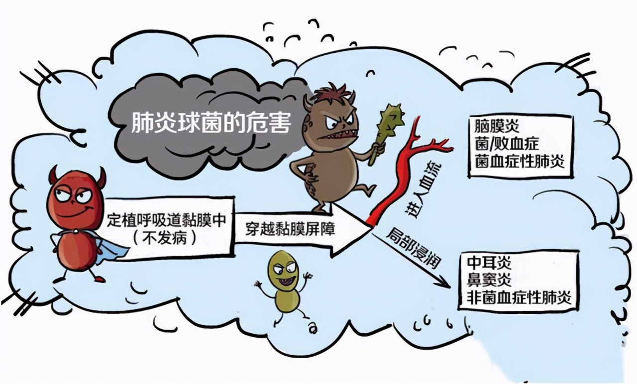 支气管炎与肺炎，症状如此相似，怎么区分它们？