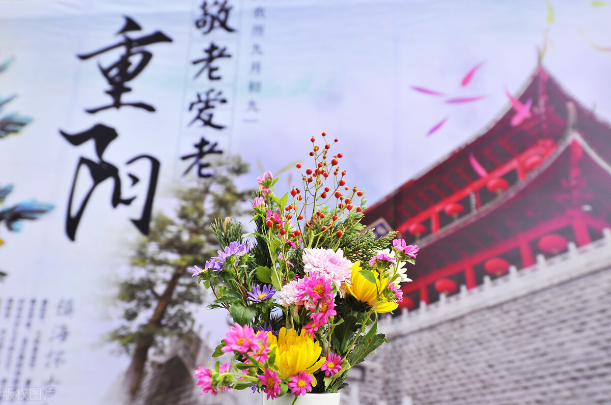 重阳到，俗语“重阳无雨一冬晴，重阳下雨一冬凌”，下雨好不好？