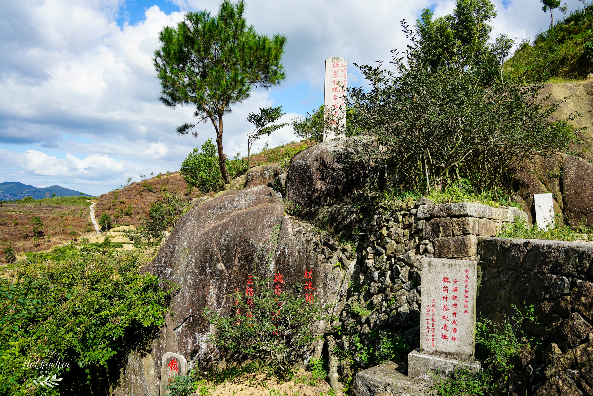 铁观音发源地（探访中国十大名茶之一铁观音的发源地）