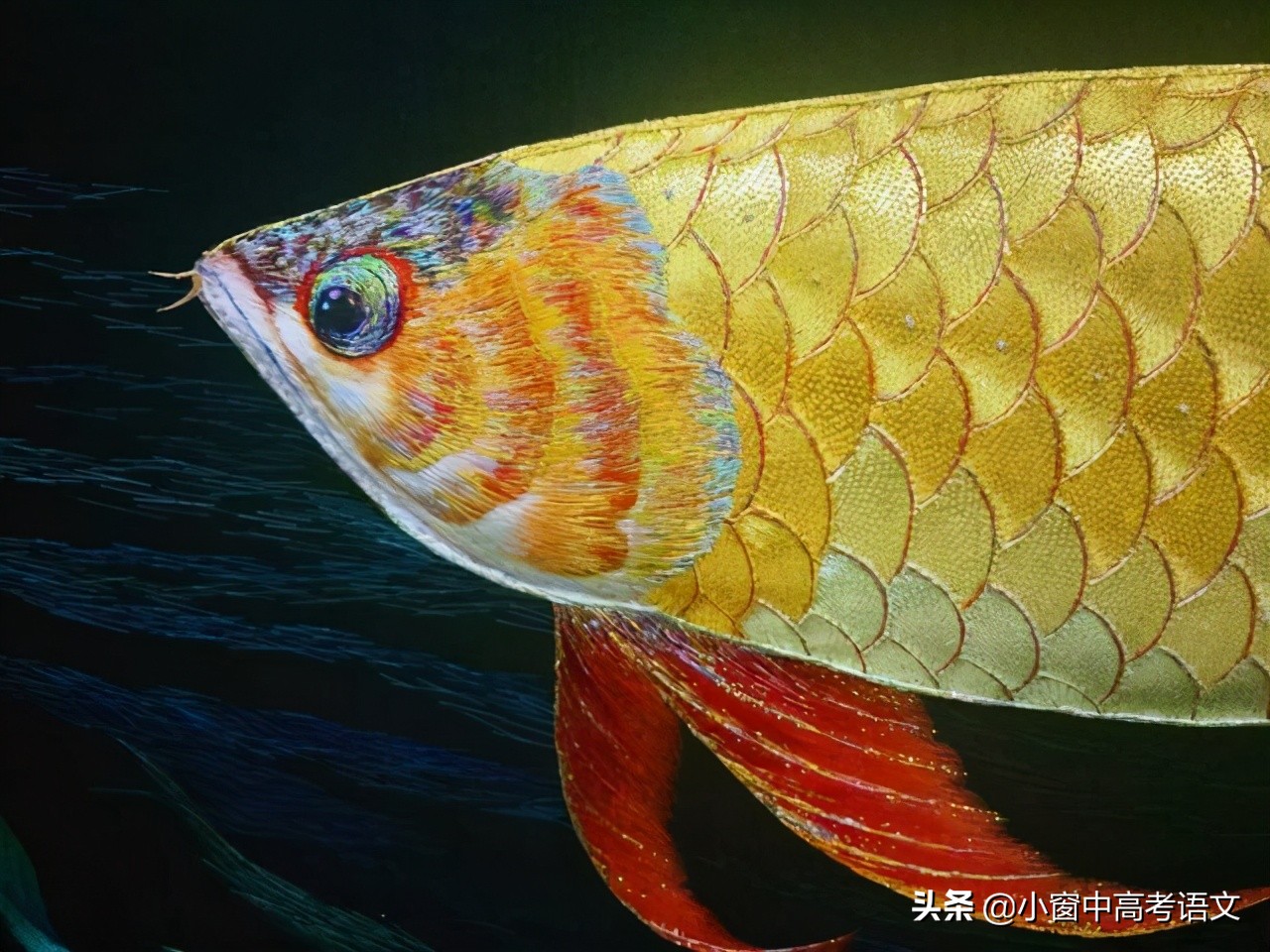 「冲刺高考作文01」“新时代，新青年”人物素材精选，附提分金句