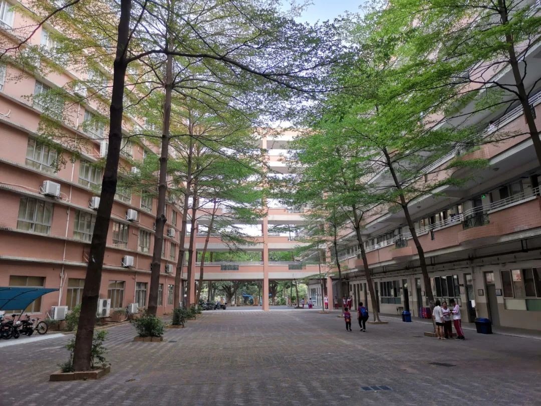 不仅有保送，带你走进广州这所最多元却很低调的高中