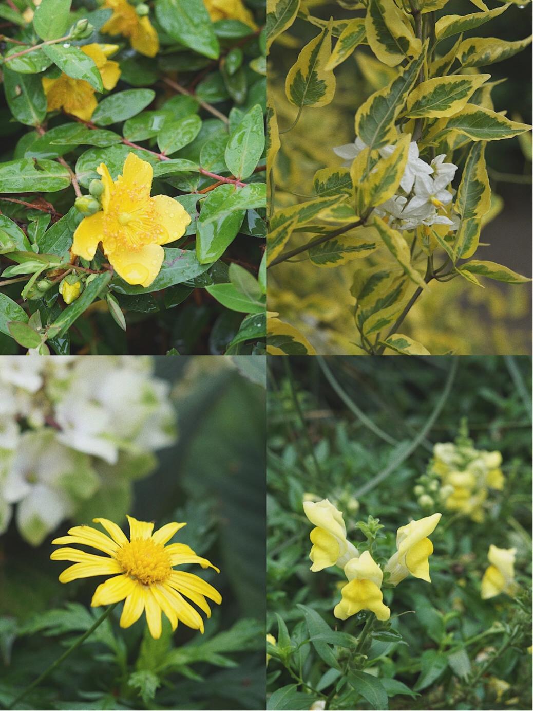 成都植物园一日游攻略,成都植物园在天回镇还是昭觉寺