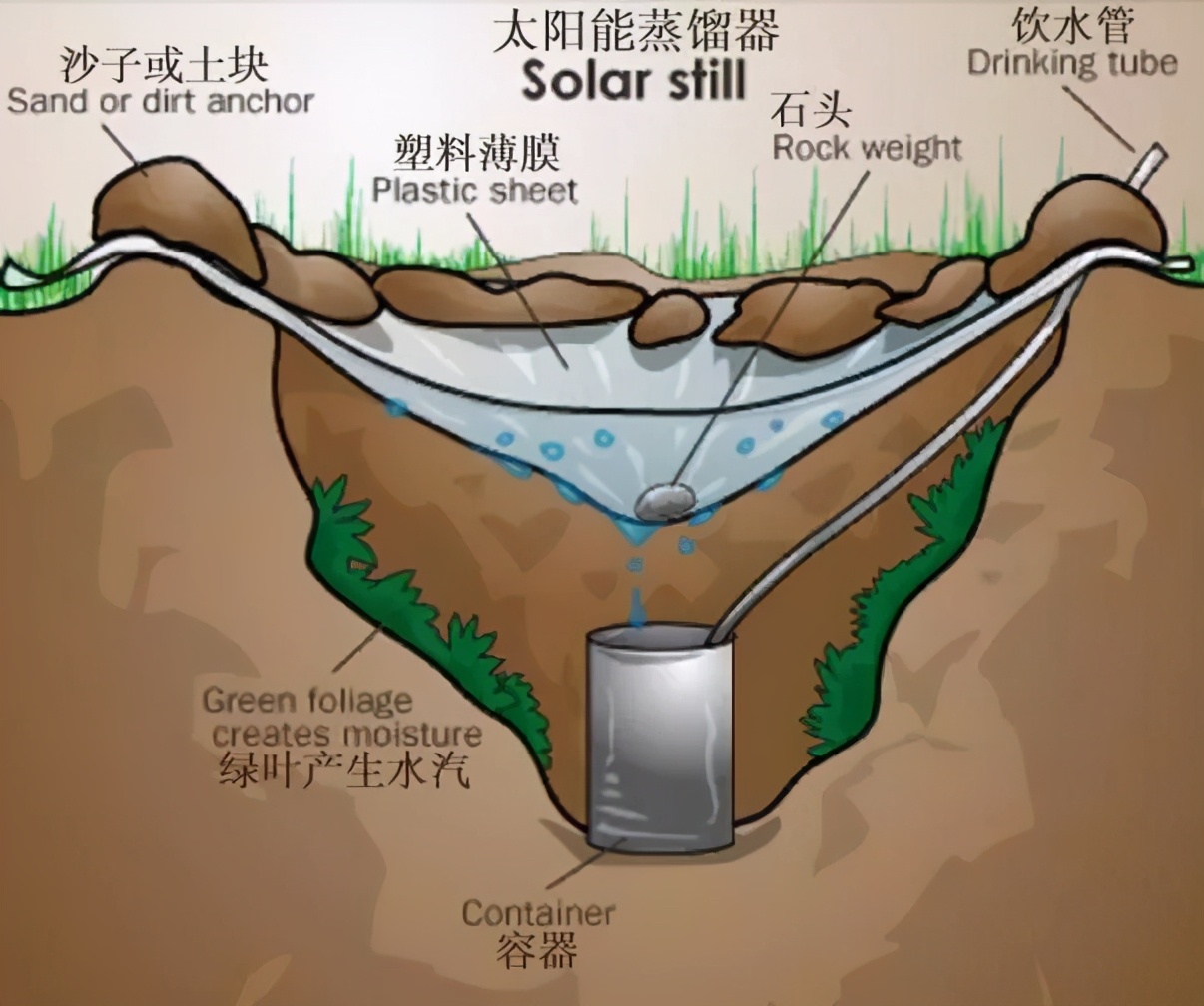 「生存手册」最全的户外取水方法集合