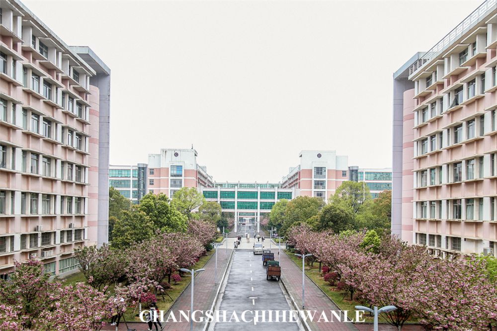 你好，湖南中医药大学！
