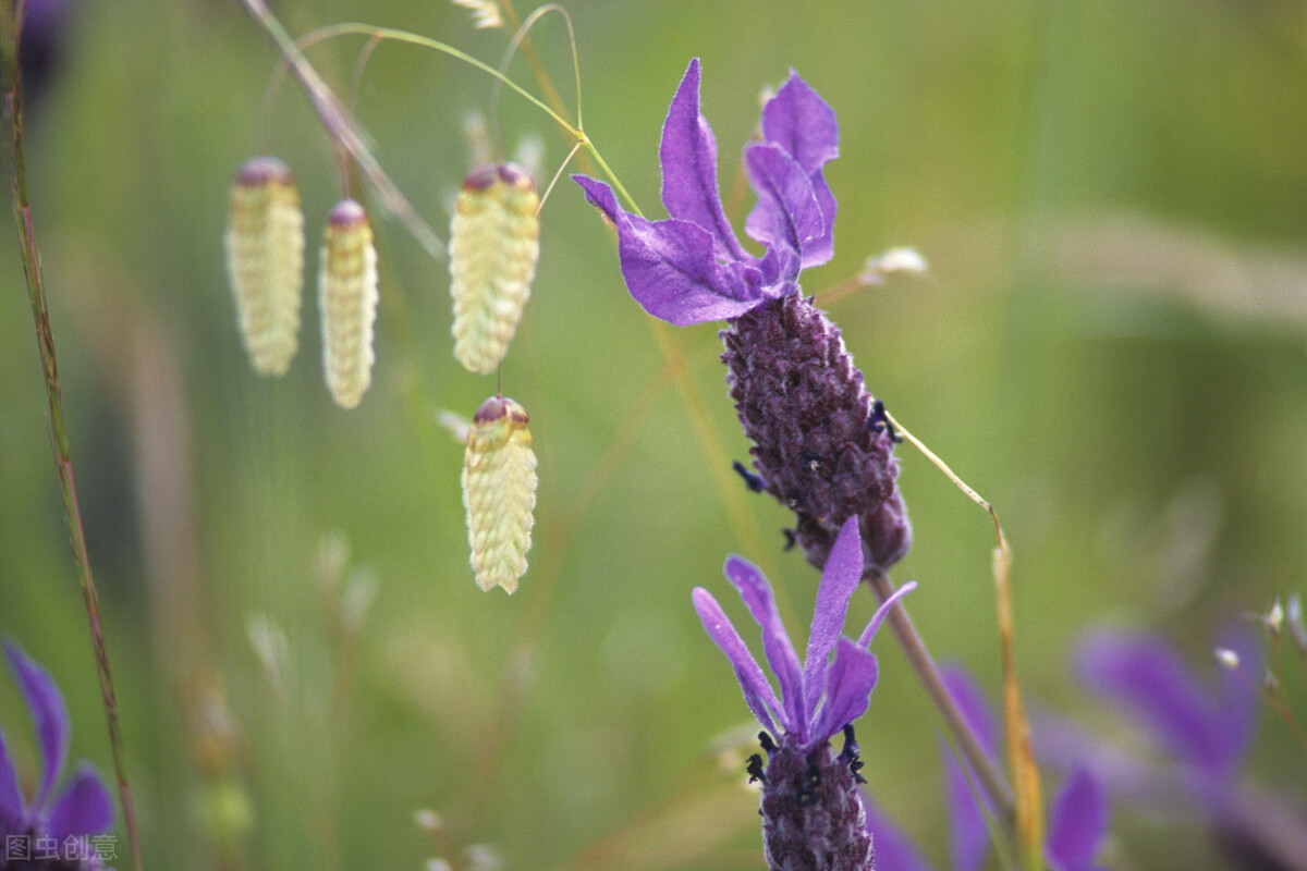 狮子座的许多暖心之举，随性又克制，很容易被忽视