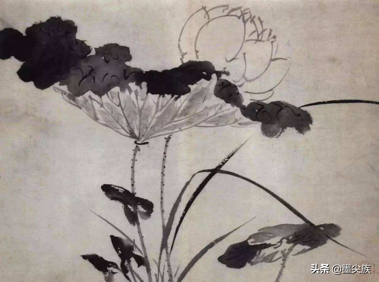 徐渭杂花卷之一作品赏析