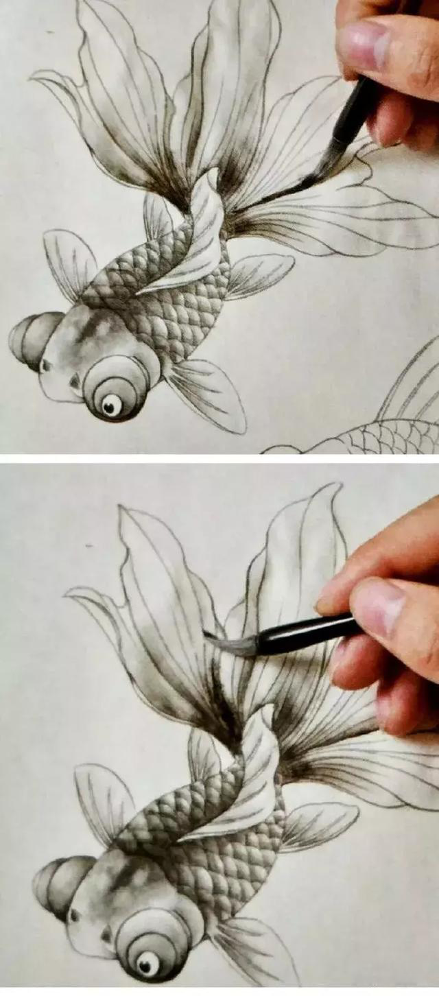 工笔画金鱼染色步骤图片