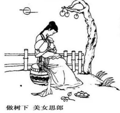 白小姐是属哪儿生肖?_晶羽科技