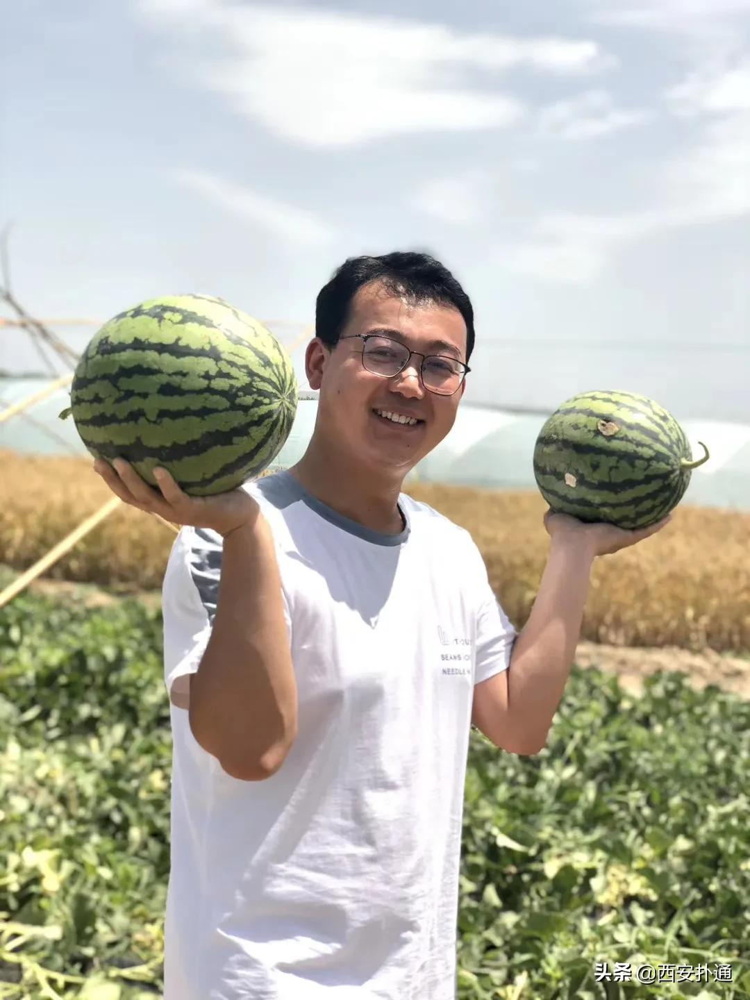 蒲城，我去过最好吃的城市