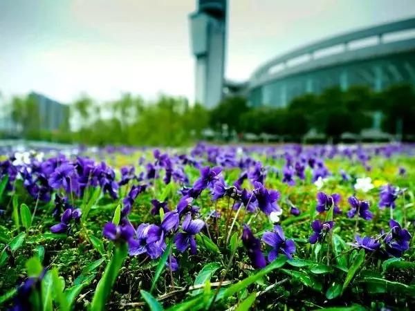 填报志愿在即！安徽这所高校一定要谨慎报考，内附10大理由！