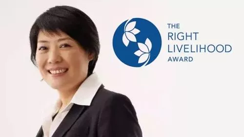 李星星案背后，是这位免费打官司的女战士：中国公益律师郭建梅