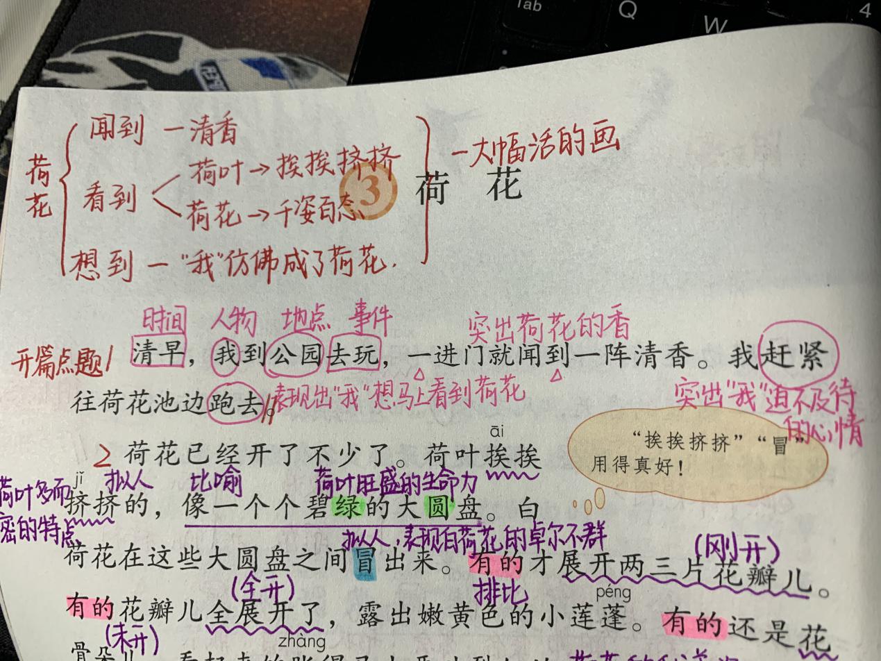 三年级语文《荷花》，老师整理精华知识点，孩子学习有效率！