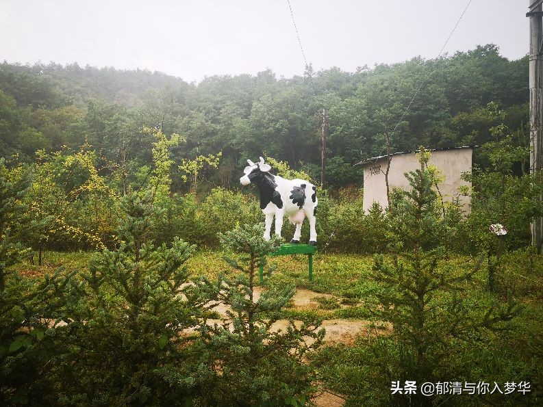 诗词：过莲花池有感