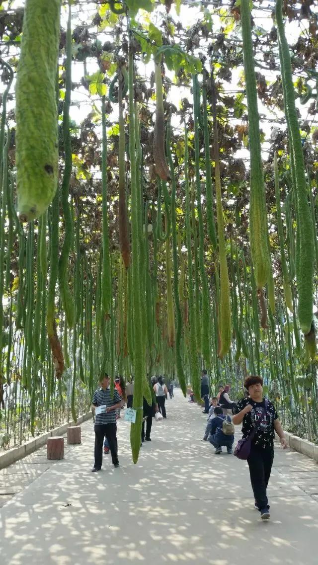 十一人少景美自驾游攻略，详细介绍景点、住宿、美食等，建议收藏