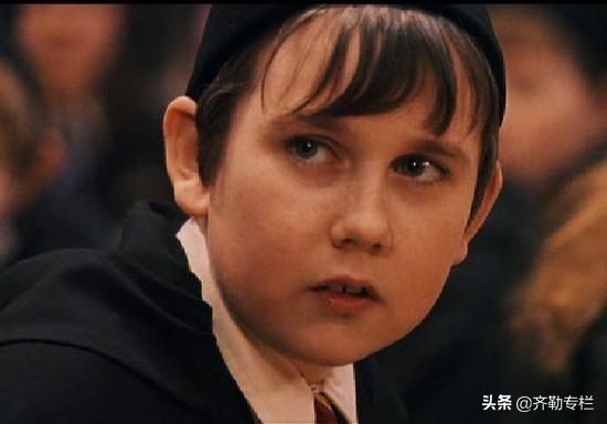 《哈利波特》霍格沃茨四大学院，各选一个代表人物，你会如何选？