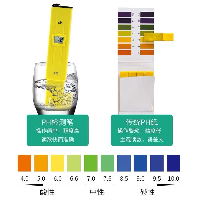 正确给鱼换水方法（详解鱼缸换水的正确方法）