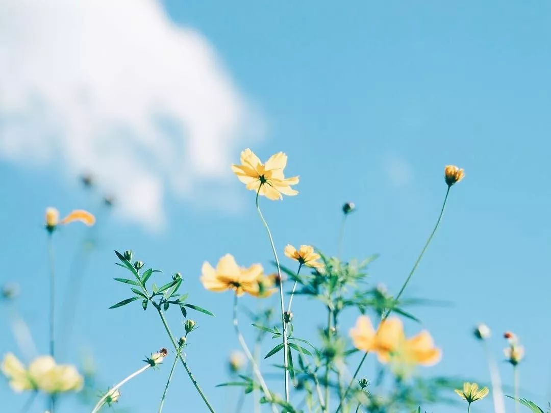 太美了！原来天空才是最万能的拍照背景板