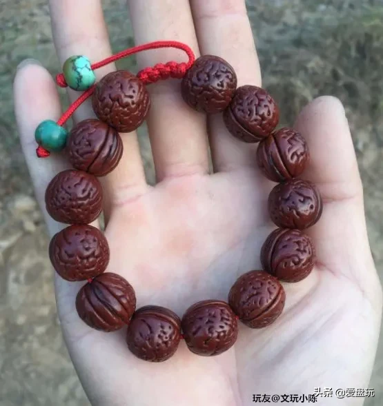 能在山上“白嫖”的10种手串,包浆超美