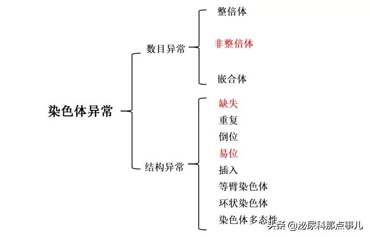 妊娠失败的男性因素有哪些?