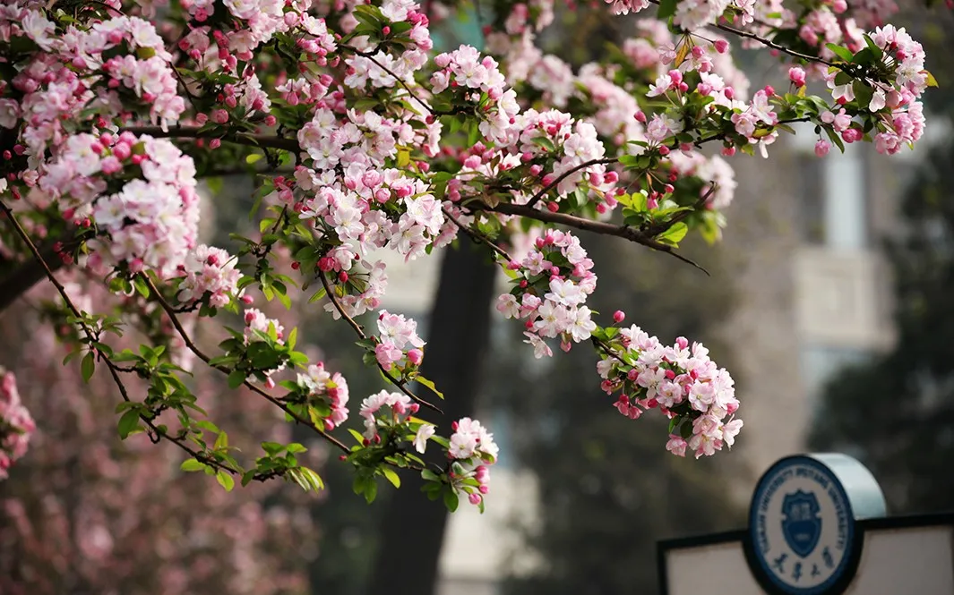 天津大学，125年，谢谢你