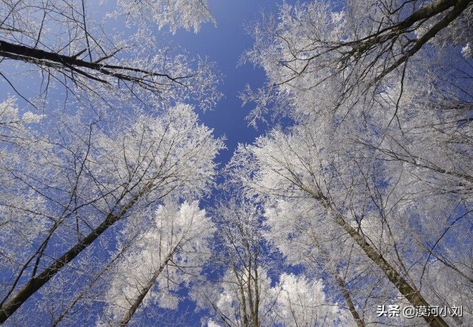 春节去漠河3天2夜游，花费高吗？怎么玩？有哪些注意事项？