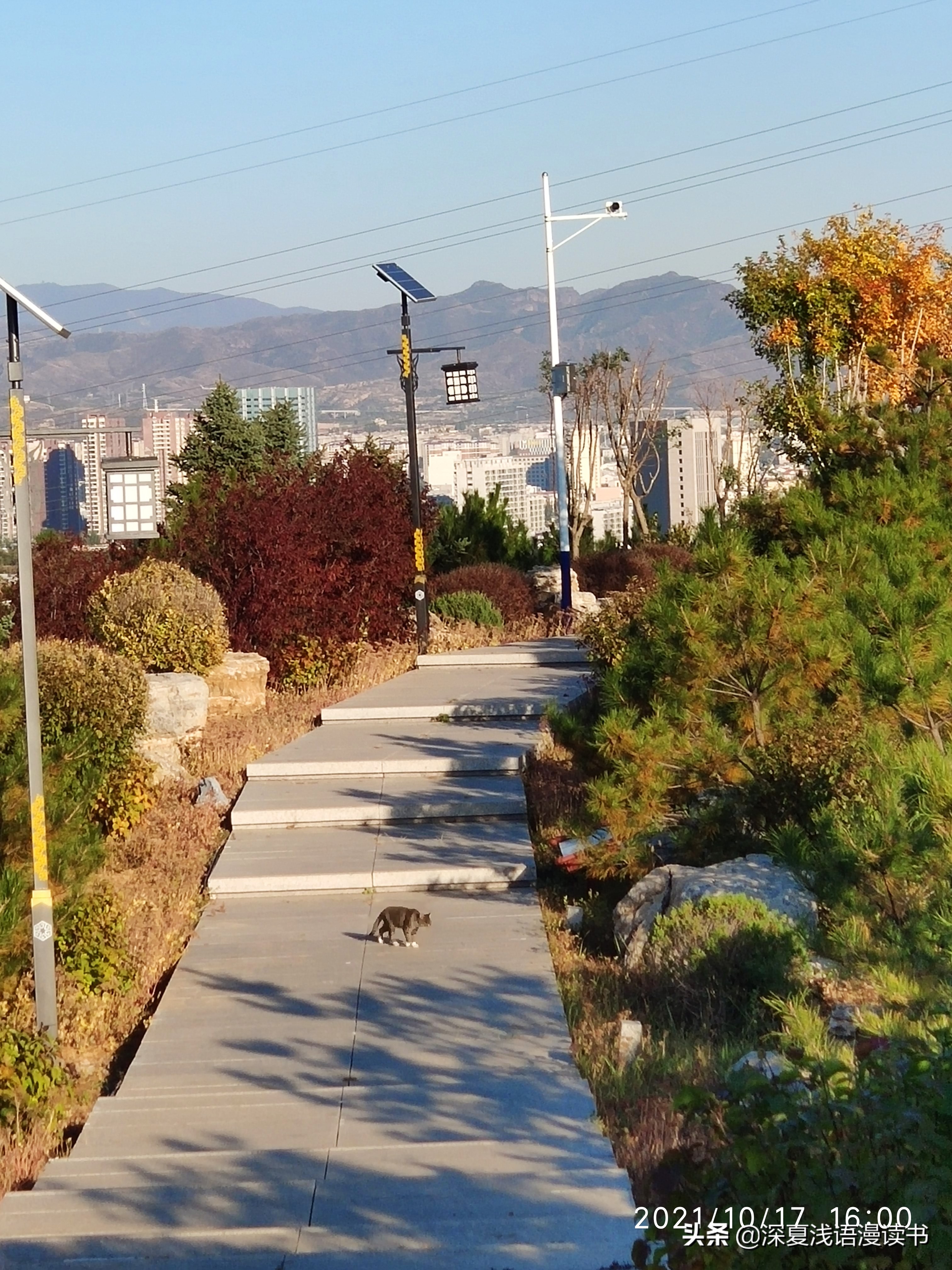 高中记18：学校纪律严格多数学生受益，想起中学某同桌恨意难消